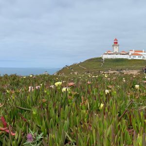 Cabo da Roca tour privado meio dia