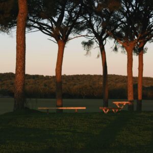 Alentejo Wine Tasting