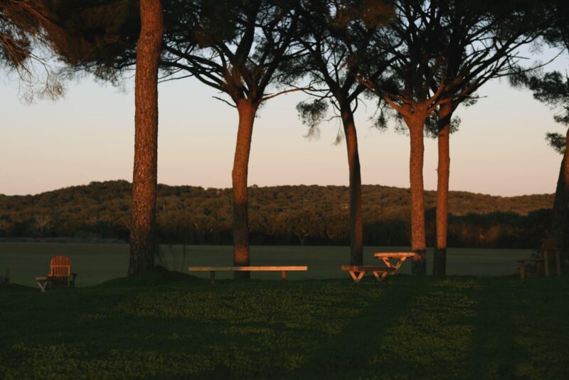 Alentejo Wine Tasting