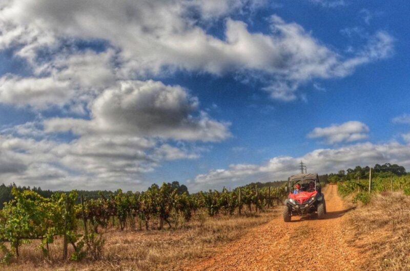 Alentejo jeep ride