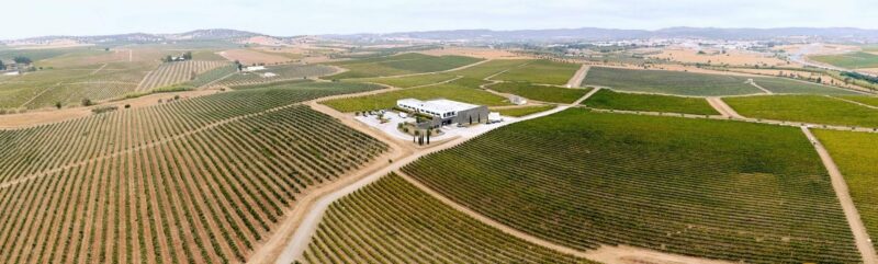 Herdade Coelheiros - Alentejo Wine Tour