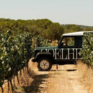 Alentejo Wine Tour