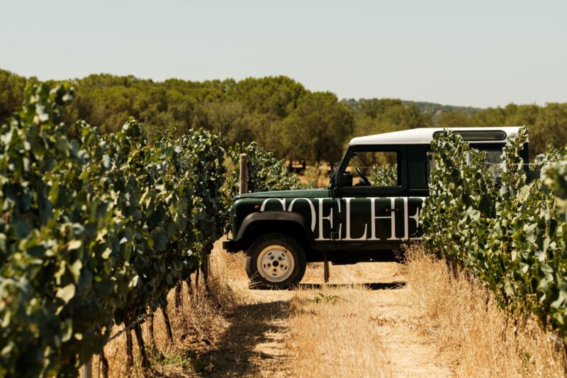 Alentejo Wine Tour