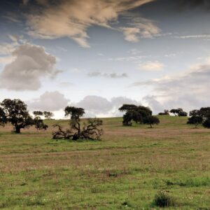 Alentejo Wine Tour