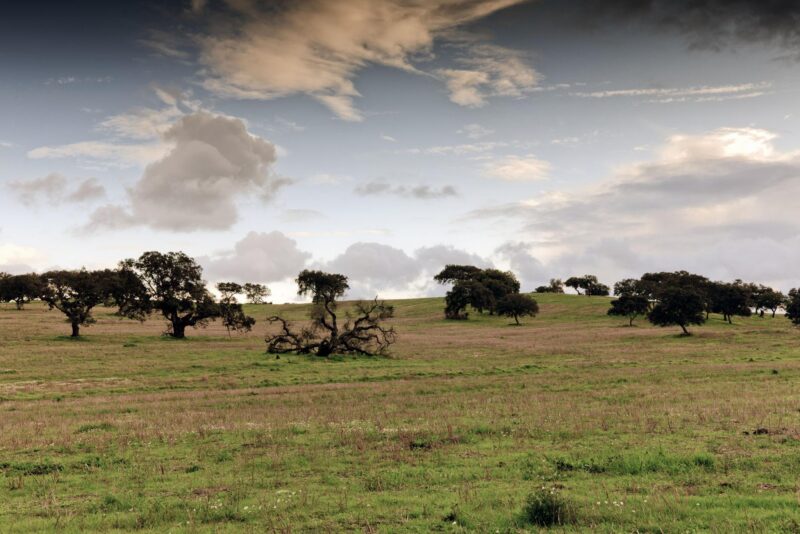 Alentejo Wine Tour