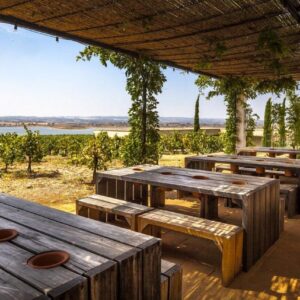 Alentejo - Arraiolos Wine Tour
