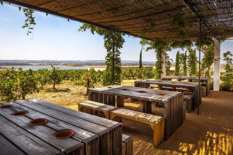 Alentejo - Arraiolos Wine Tour