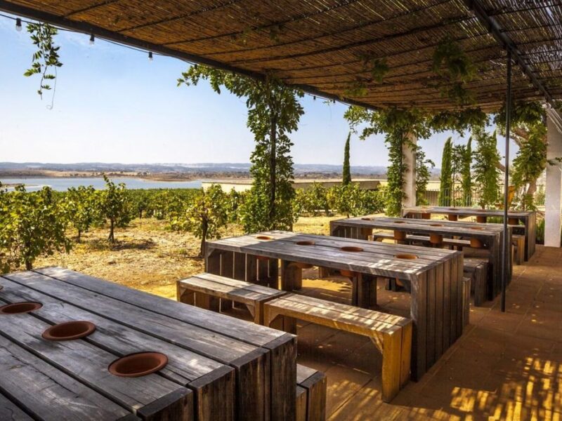 Alentejo - Arraiolos Wine Tour